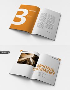 版式设计与图文处理技法 提升视觉传达效果的实用指南